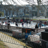 Patinage à Amboise