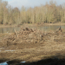 Tours - Chaumont-sur-Loire