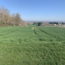 Vouvray - Amboise A/R (GR3 à pied)