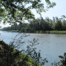 Déjeuner au bord du Rhin