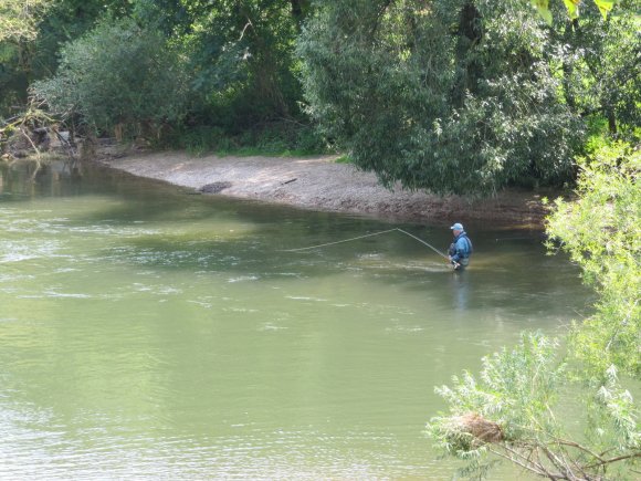 Un pêcheur à la mouche