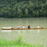 Aviron sur le Danube