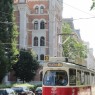 Beaucoup de tramways à Vienne