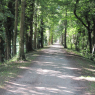 Canal latéral à la Loire