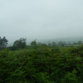 DSCN0232