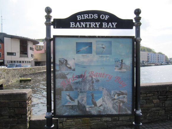 Bantry bay