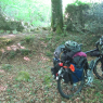 Currahchase forest park. Pas terrible pour un bivouac en fin de compte. Je me ravise.