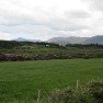 Dans les environs du parc national du Connemara