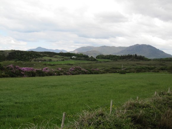 Dans les environs du parc national du Connemara