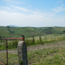 DSCN1387
