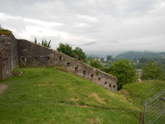 DSCN1446