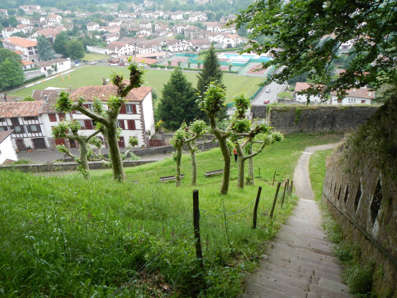 DSCN1455