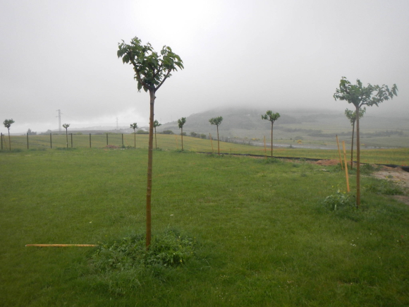 DSCN1494