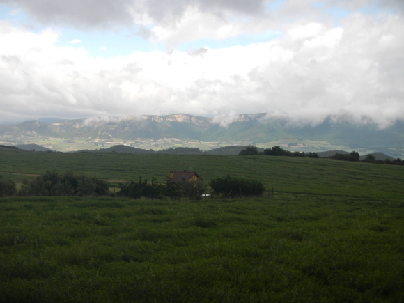 DSCN1502