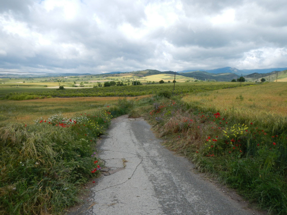 DSCN1509