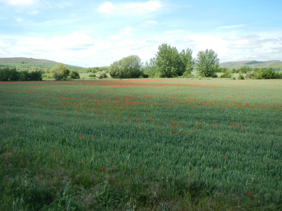 DSCN1581