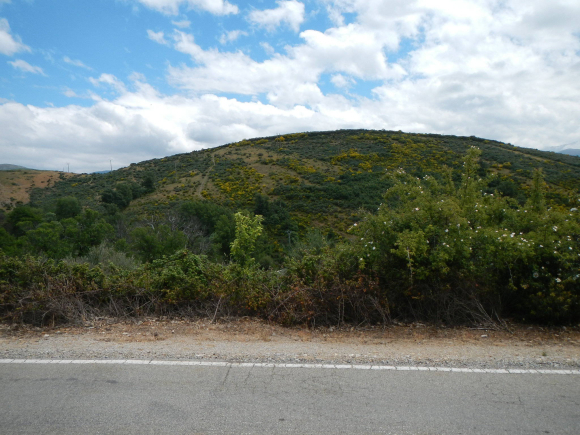 DSCN1755