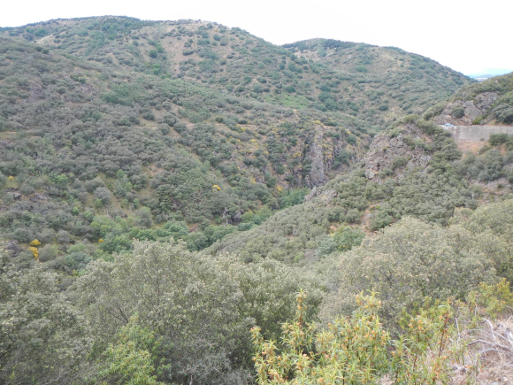 DSCN1759