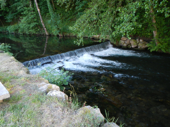 DSCN1819