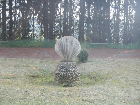 DSCN1828