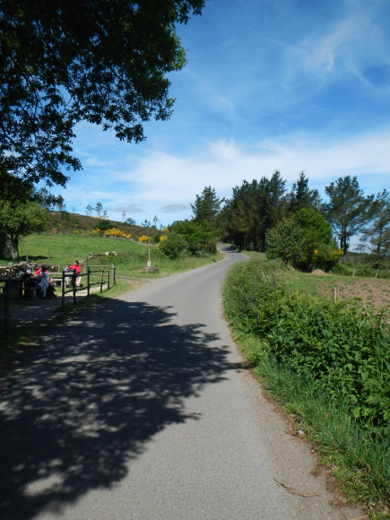 DSCN1834