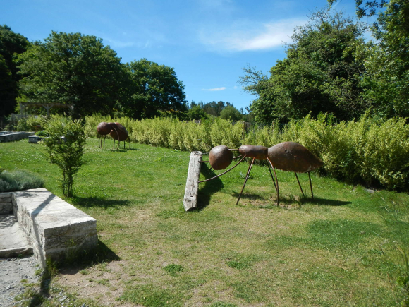 Scupltures de fourmis