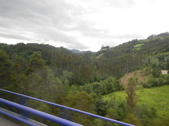 DSCN1936