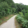 Chemin de halage de la Mayenne