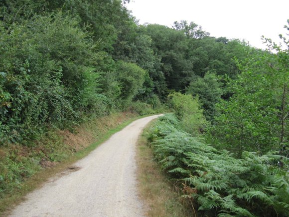 Chemin de halage de la Mayenne