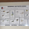 Les oiseaux d'Ille-et-Vilaine