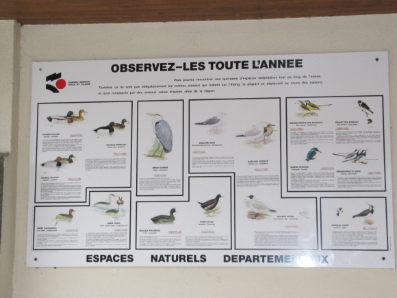 Les oiseaux d'Ille-et-Vilaine