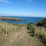 La pointe du Grouin