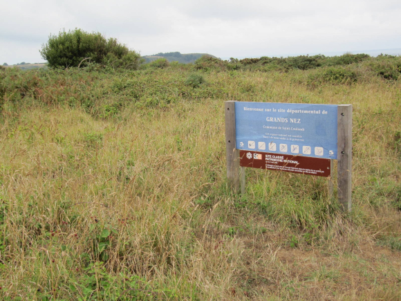 Pointe des Grands Nez (Saint-Coulomb)