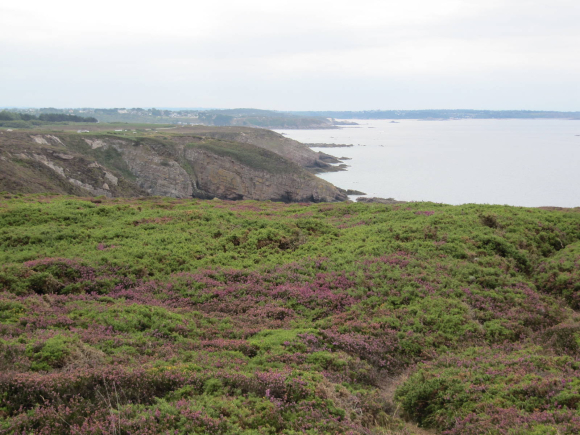 Cap Fréhel