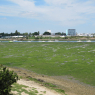 Lorient
