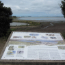 Les oiseaux du Golfe du Morbihan
