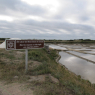 Marais salants de Guérande, vers Le Croisic
