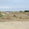 22-08-2010 (Pornic - Noirmoutier-en-l'Ile), 23ème jour