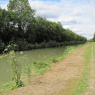 Canal latéral à la Loire