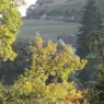 17-10-2009 (Montmorillon - Ladignac-le-Long), 2ème jour