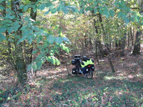 Déjeuner dans les sous-bois