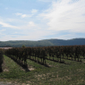 Vignoble de Cahors