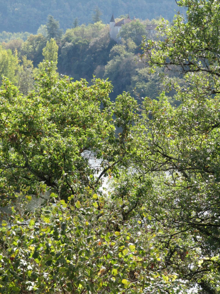 Bords du Lot avant Cahors