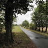 Forêt du Landais, après Bergerac