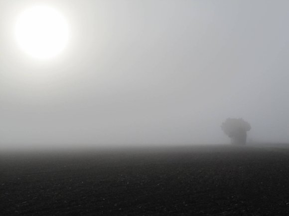 Même le soleil a du mal à percer!