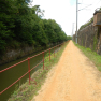 DSCN3725