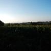 DSCN3812