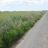 Tour de Vendée