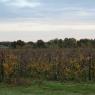 02-11-2011 (Parthenay - Tours), 5ème jour
