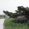 21-04-2011 (Marennes-Plage - île d'Oléron), 3ème jour